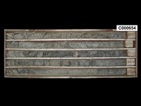 登錄號:C000654藏品圖，第1張