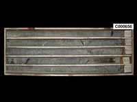 登錄號:C000656藏品圖，第1張