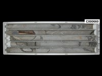 登錄號:C000660藏品圖，第1張