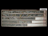 登錄號:C000665藏品圖，第1張