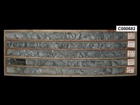 登錄號:C000682藏品圖，第1張