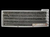 登錄號:C000685藏品圖，第1張