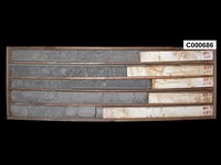 登錄號:C000686藏品圖，第1張