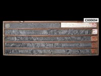 登錄號:C000694藏品圖，第1張