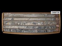 登錄號:C000720藏品圖，第1張