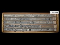 登錄號:C000736藏品圖，第1張