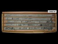 登錄號:C000747藏品圖，第1張