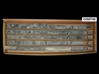 登錄號:C000748藏品圖，第1張