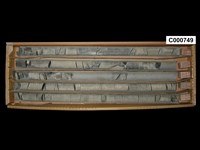 登錄號:C000749藏品圖，第1張