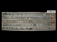 登錄號:C000752藏品圖，第1張