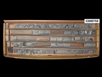 登錄號:C000755藏品圖，第1張