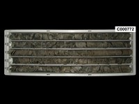 登錄號:C000772藏品圖，第1張