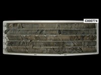 登錄號:C000774藏品圖，第1張