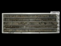 登錄號:C000779藏品圖，第1張