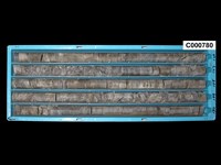 登錄號:C000780藏品圖，第1張