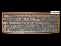 登錄號:C000781藏品圖，第1張