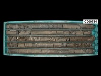 登錄號:C000784藏品圖，第1張