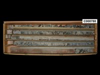 登錄號:C000788藏品圖，第1張