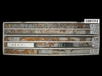 登錄號:C001312藏品圖，第1張