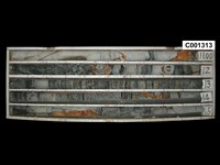 登錄號:C001313藏品圖，第1張