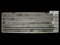 登錄號:C001315藏品圖，第1張