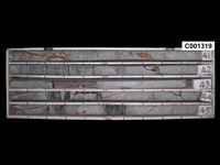 登錄號:C001319藏品圖，第1張