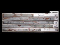 登錄號:C001320藏品圖，第1張