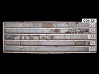 登錄號:C001321藏品圖，第1張