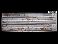 登錄號:C001322藏品圖，第1張