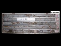 登錄號:C001325藏品圖，第1張