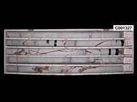 登錄號:C001327藏品圖，第1張