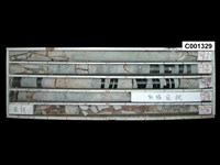 登錄號:C001329藏品圖，第1張