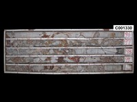 登錄號:C001330藏品圖，第1張