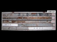 登錄號:C001331藏品圖，第1張