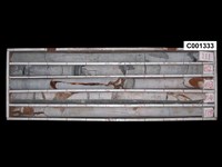 登錄號:C001333藏品圖，第1張