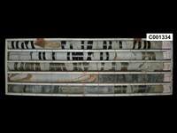 登錄號:C001334藏品圖，第1張