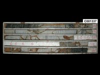 登錄號:C001337藏品圖，第1張