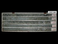 登錄號:C001340藏品圖，第1張