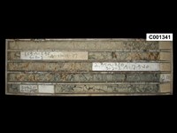 登錄號:C001341藏品圖，第1張