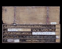 登錄號:C001341藏品圖，第2張