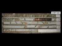 登錄號:C001343藏品圖，第1張