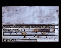 登錄號:C001343藏品圖，第2張