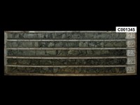 登錄號:C001345藏品圖，第1張