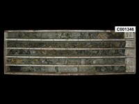 登錄號:C001346藏品圖，第1張