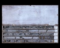 登錄號:C001347藏品圖，第2張