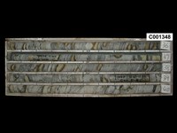 登錄號:C001348藏品圖，第1張