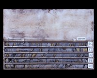 登錄號:C001348藏品圖，第2張