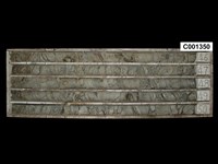 登錄號:C001350藏品圖，第1張