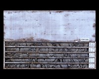 登錄號:C001350藏品圖，第2張