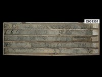 登錄號:C001351藏品圖，第1張